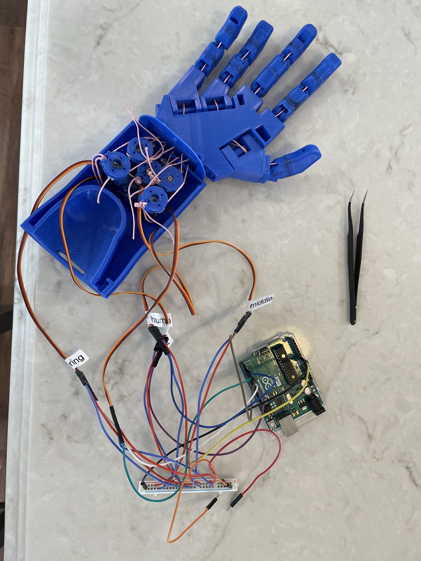 Myoelectric Prosthetic Hand